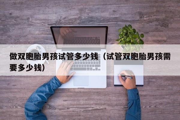 做双胞胎男孩试管多少钱(试管双胞胎男孩需要多少钱)