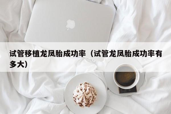 试管移植龙凤胎成功率(试管龙凤胎成功率有多大)