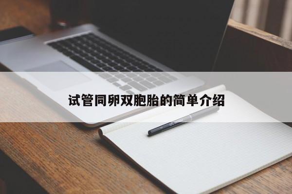 试管同卵双胞胎的简单介绍