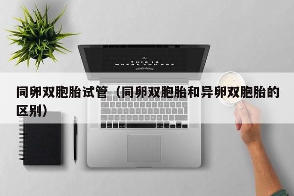 同卵双胞胎试管(同卵双胞胎和异卵双胞胎的区别)
