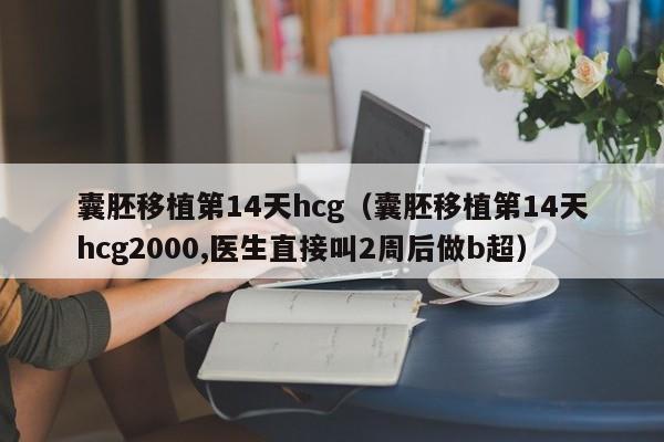 囊胚移植第14天hcg(囊胚移植第14天hcg2000,医生直接叫2周后做b超)