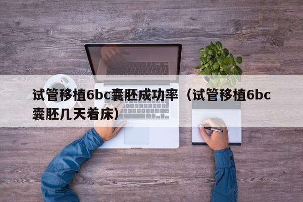 试管移植6bc囊胚成功率(试管移植6bc囊胚几天着床)