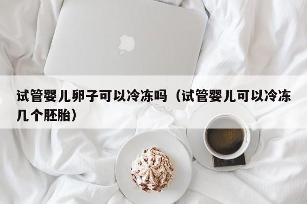 试管婴儿卵子可以冷冻吗(试管婴儿可以冷冻几个胚胎)