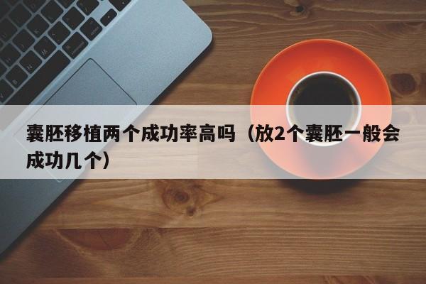 囊胚移植两个成功率高吗(放2个囊胚一般会成功几个)