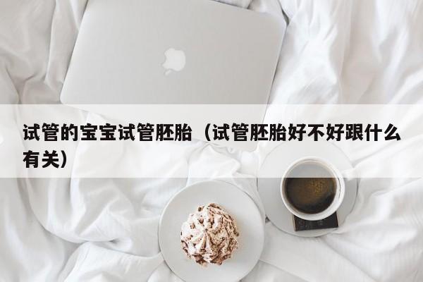 试管的宝宝试管胚胎(试管胚胎好不好跟什么有关)